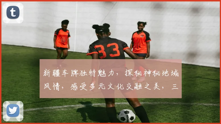新疆车牌独特魅力，探秘神秘地域风情，感受多元文化交融之美，三地风情一网打尽