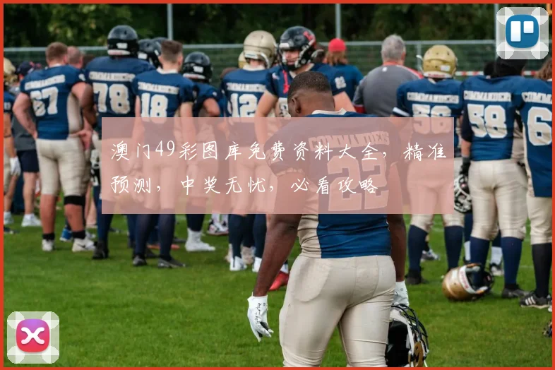 澳门49彩图库免费资料大全，精准预测，中奖无忧，必看攻略