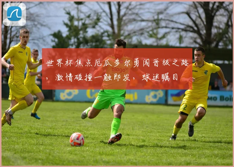 世界杯焦点厄瓜多尔勇闯晋级之路，激情碰撞一触即发，球迷瞩目