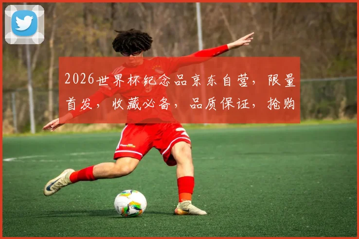 2026世界杯纪念品京东自营，限量首发，收藏必备，品质保证，抢购从速