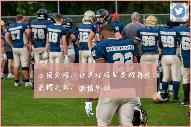 法国荣耀，世界杯冠军荣耀再续，荣耀之路，激情燃动