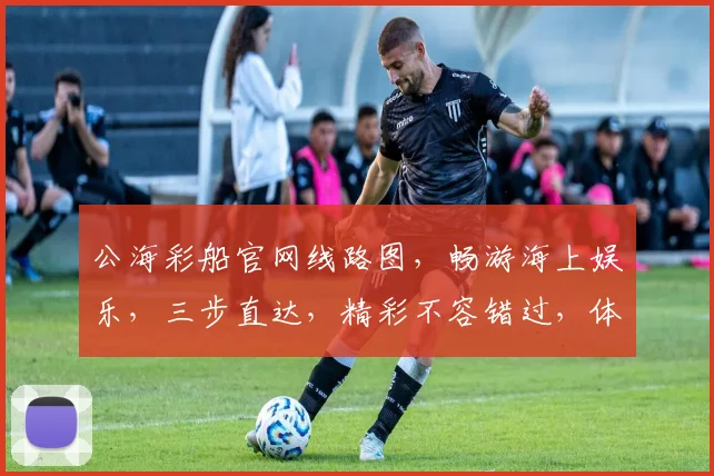 公海彩船官网线路图，畅游海上娱乐，三步直达，精彩不容错过，体验非凡